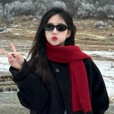 坚强之岛：十年寻真之旅